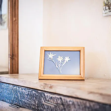 Carving R02 By Interhome * Ovronnaz